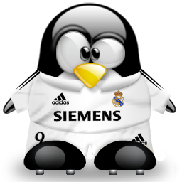 penguin pingouin pinguino 506